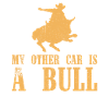 Rodeo Outfit Bull Riding
