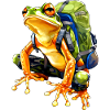 Frosch Bergsteiger / Wandern Frösche