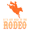 Rodeo Outfit Bull Riding