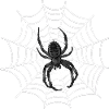Spinnenweb Noir: Kontrastkunst