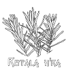 Rotala h'ra