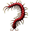 Centipede