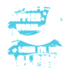 Dolphin Happy With Dolphin