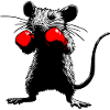 Urban Fighter: Boxing Rat