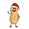 mignon cacahuète nain Père Noël