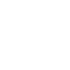 Logo western 2