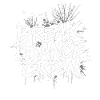 Breakdance Crew Breakdance Breakdancing Breakdance
