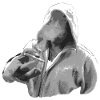 Provokant mit Hoodie
