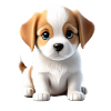 Puppy Dog - Memes