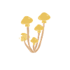 Mushroom picker You can hide