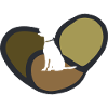 Dog Training Agility