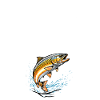 Fishing humor