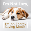 Funny Dogs Quotes - Memes