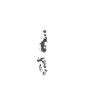 Skull with wings