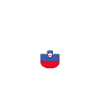 Design slovène élégant