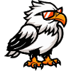 Adler Comic Cool