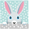 Schneehase II