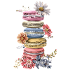 Macaron lovers Macaron Baker