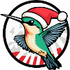Colibri Oiseau Noël Noël