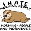 Charming Sloth Dreaming on Leaf