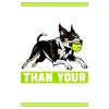 Flyball Sports canins