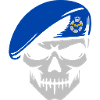 Armée de l’air