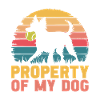 Flyball Sports canins