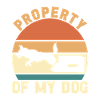 Flyball Dog Sports
