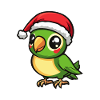 Papagai Christmas