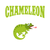 Chameleon Gifts