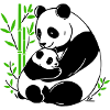 Panda tenderness