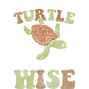 Turtle Sea Sea Creatures