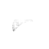 Turtles Sea Sea Creatures Slow