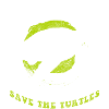 Turtle Reptile Cute
