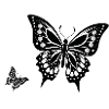 Butterfly Sillhouette