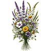 Wildflowers