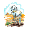 Egyptian Arabian Horse