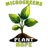 PFLANZE MICROGREENS PLANT HOPE