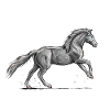 Cheval noir au galop