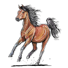 Cheval arabe au galop