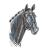 Totila's Portrait
