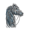 Black Frieze Portrait