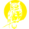 The Owl