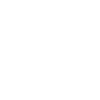 Silhouette d’animal nocturne