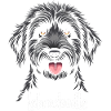 Labradoodle Amitié