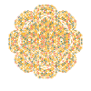 Emu Geometric