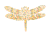 Dragonfly Geometric