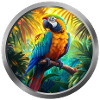 Macaw Animal -1