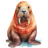 Walrus