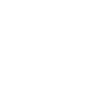 Fleischer